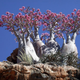 Illustration for article titled Striking natural landscapes that look like works of fantasy art